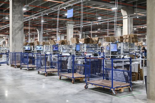 ozon global为中国卖家拓展独联体国家的销售地域